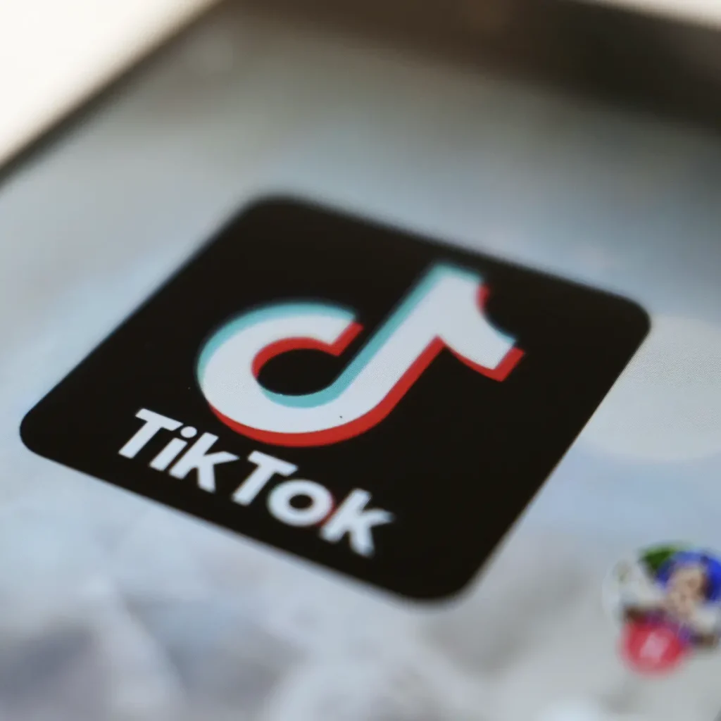 TikTok Video Saver